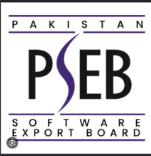 PSEB — Registered IT Company